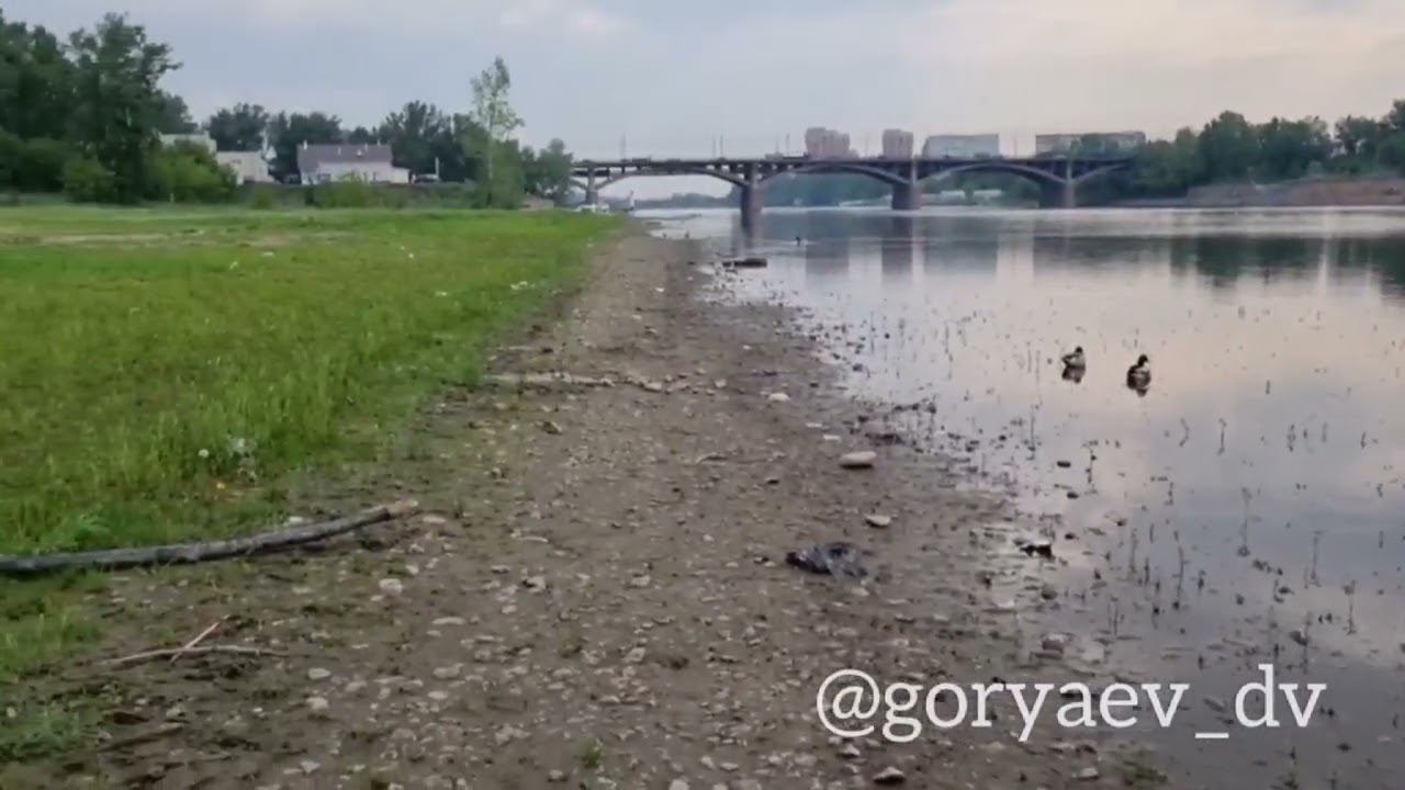 На пляже красноярска На пляже красноярска